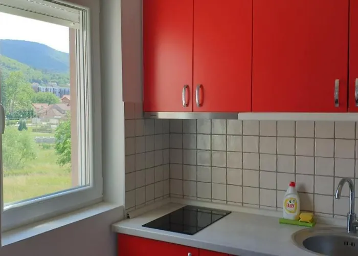 Lux Ristic 2 소코 반자